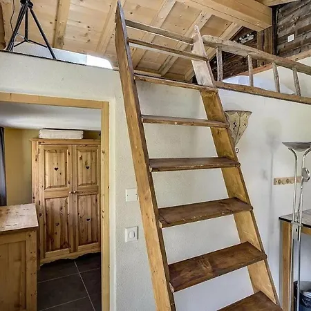 度假居 Chalet Alpina 圣莫里茨